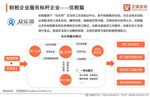 2021上半年中國(guó)財(cái)稅類企業(yè)服務(wù)專題研究報(bào)告 企業(yè)管理咨詢發(fā)展洞察