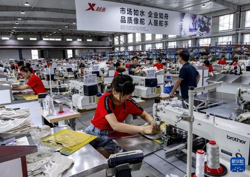 新華全媒 | 從家庭作坊到現(xiàn)代化工廠，從鄉(xiāng)鎮(zhèn)企業(yè)到國際知名企業(yè)——探訪福建晉江民營企業(yè)的管理密碼